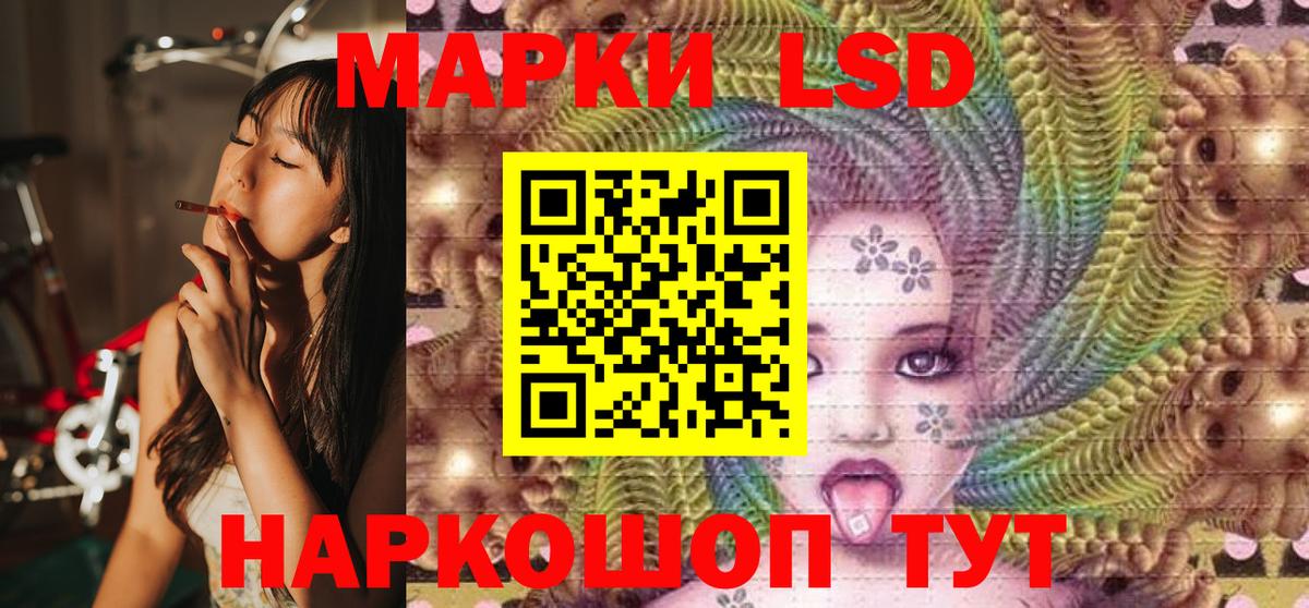 Наркотические марки 1500мкг  Вход с VPN  сколько стоит  Наркотические марки 1500мкг  Петропавловск-Камчатский 