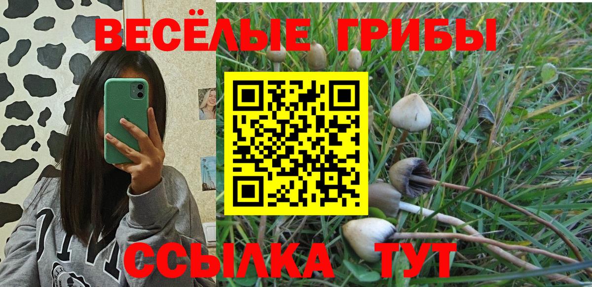 Псилоцибиновые грибы GOLDEN TEACHER  Вход с VPN  Петропавловск-Камчатский  Галлюциногенные грибы мухоморы 