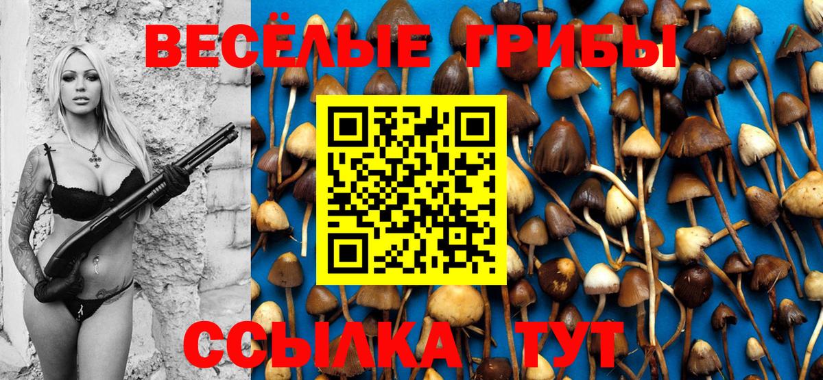 Галлюциногенные грибы Magic Shrooms Петропавловск-Камчатский