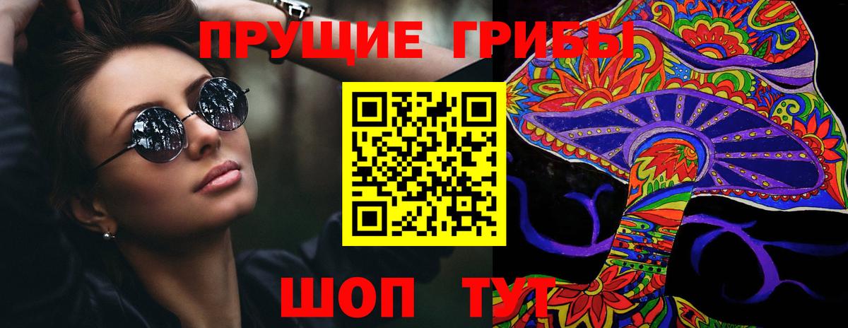Альфа ПВП Петропавловск-Камчатский